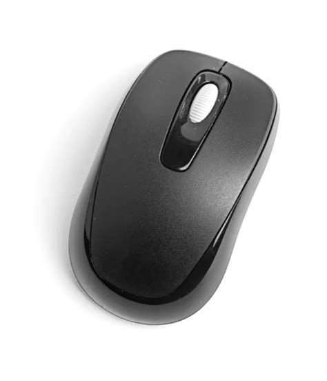 Image result for Computer Mouse Front View