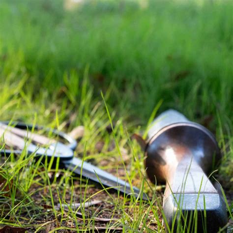 How To Remove Alcohol From Herbal Tinctures - The Homestead Challenge