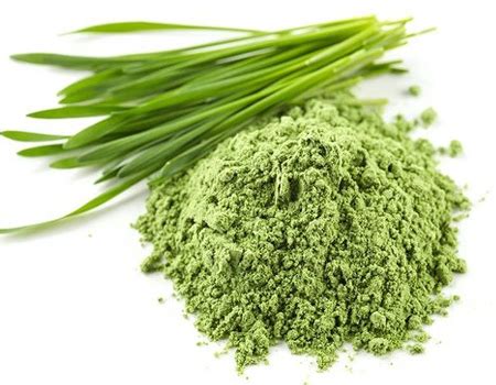 USP Ingredients Manufacturer & Producer in India