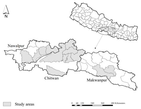 Infectious Disease Reports | August 2022 - Browse Articles
