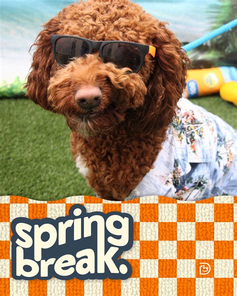 Spring Break Week Photo Shoot - St. Paul - University Ave