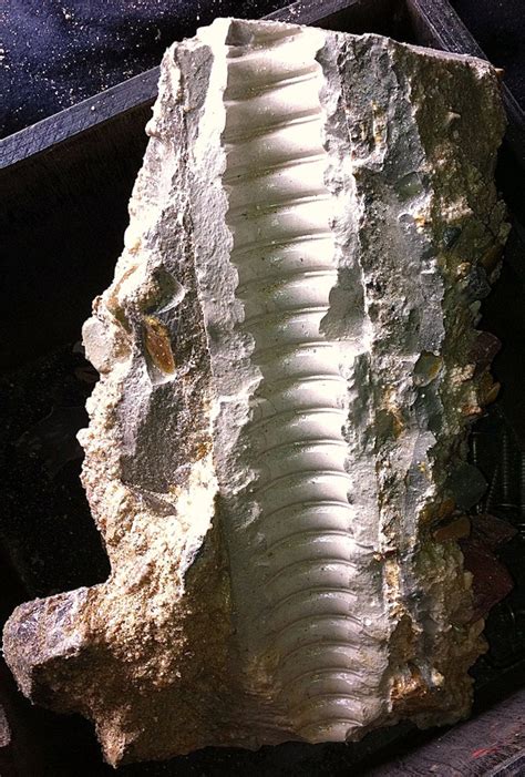 Image result for Micro Piling Method