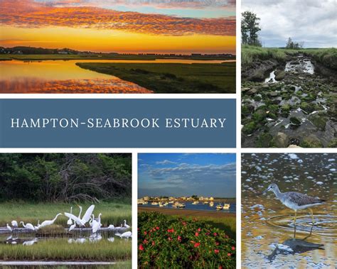 National Estuaries Week: Puzzle Competition | SHEA