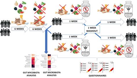 Non-Celiac Gluten/Wheat Sensitivity: Clinical Characteristics and ...