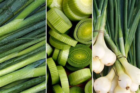 Do You Know the Differences Between Green Onions, Scallions, Spring ...