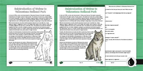 Image result for OSSC Skill Test Questions