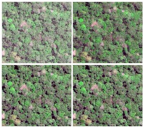 A New Individual Tree Crown Delineation Method for High Resolution ...