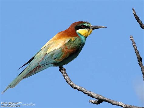 OIP.H6KSgT4wMoh72iBJkc57GQHaFj?dpr=1.5&p