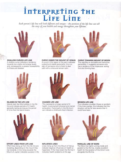 Interpreting the life line | Palm reading, Palmistry, Palmistry reading