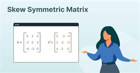Image result for Skew Symmetric Matrix Example