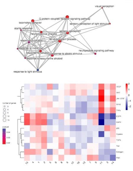 Spatial Transcriptome Method 的图像结果