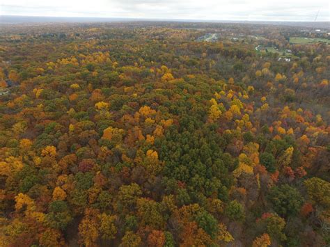 100+ acres permanently conserved by Cleveland Metroparks, Land ...
