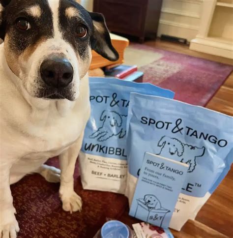 Meet UnKibble™: Fresh Dry Dog Food Without Refrigeration | Spot & Tango