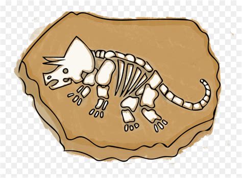 Dinosaur Fossils Clipart at Sophie Catani blog
