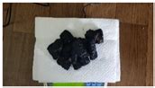 Response Characteristics of Smoke Detection for Reduction of Unwanted ...