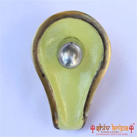 Pure parad (Mercury) Baan-Lingam – Shiv Kripa Rudraksha