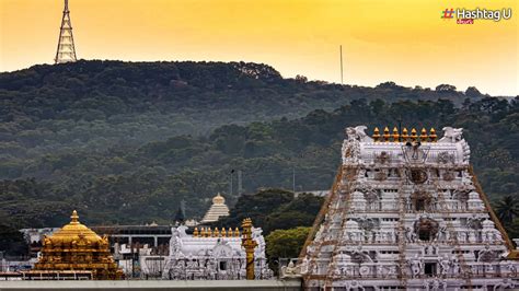 Tirumala Darshan Tickets : ఎమ్మెల్యేలు, ఎమ్మెల్సీల లెటర్లతో బ్రేక్ ...