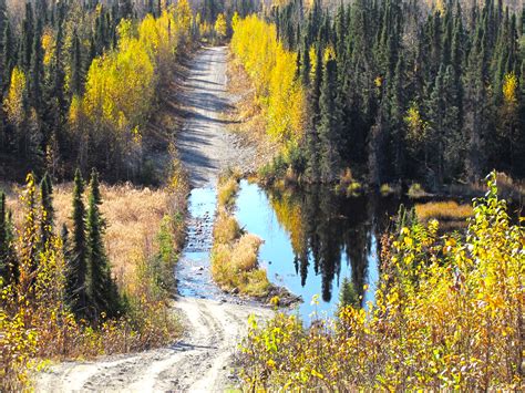 Flooded AK Road - Resized - KatrinaLiebich.png | FWS.gov