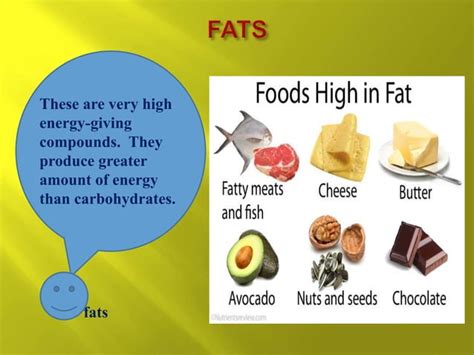 Image result for Components of Food Class 6 Question Answer