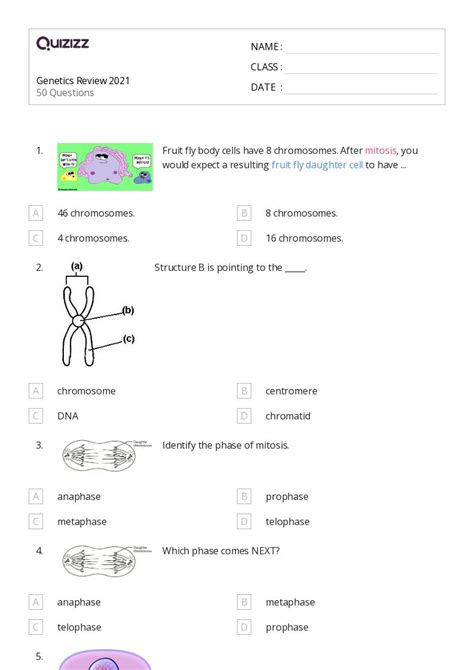 50+ genetics vocabulary genotype and phenotype worksheets for 11th ...