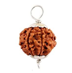 7 Mukhi Nepal Rudraksha Seven Face Goddess Laxmi in Pure Silver Pendant ...