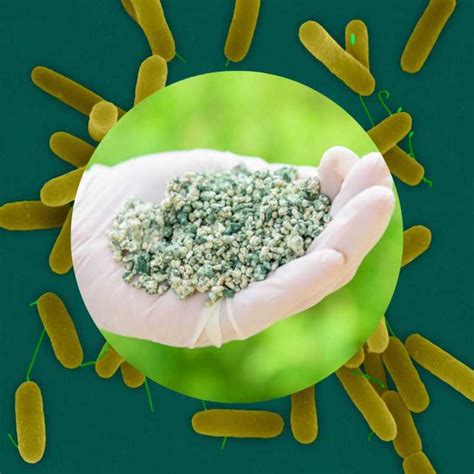 जीवाणु बिज खोज – resetagri