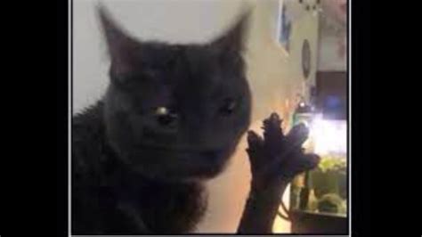 Cattles Kittens Rowblox Videos Channel by Azharla 的图像结果