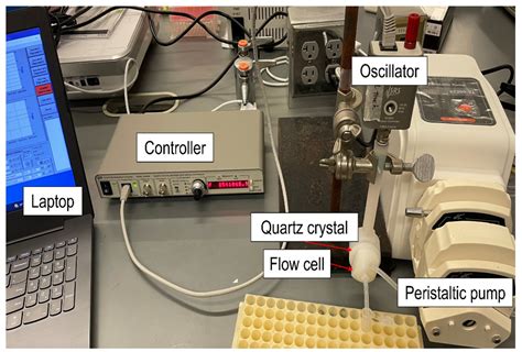 Detection of Salmonella Typhimurium with Gold Nanoparticles Using ...
