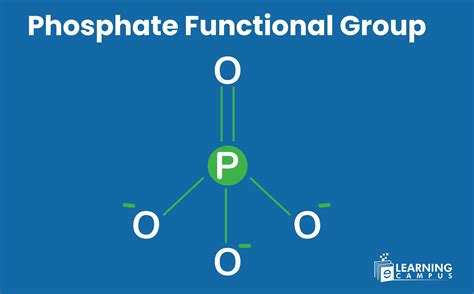 Phosphate Functional Group - Formula, Structure, and Properties