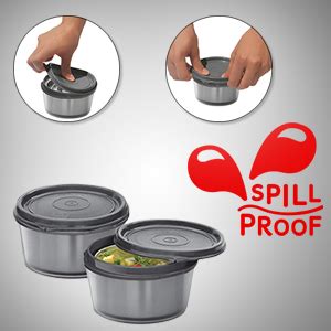 Buy Milton Nutri Stainless Steel Insulated Tiffin Set, 320ml, Set of 2 ...