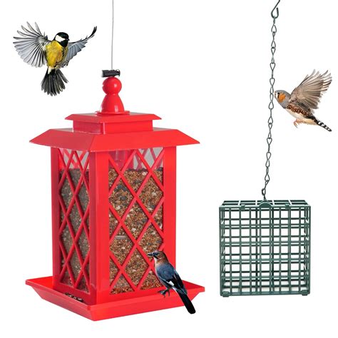 What Are Feeders at Jayden Nobbs blog