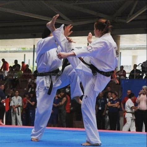 Karate 的图像结果