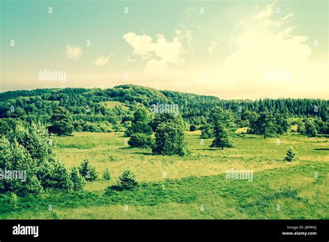 High Quality Resolution 的图像结果