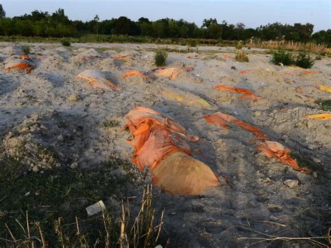 More Bodies Found Buried In Sand On Banks Of Ganga In Prayagraj, Locals ...