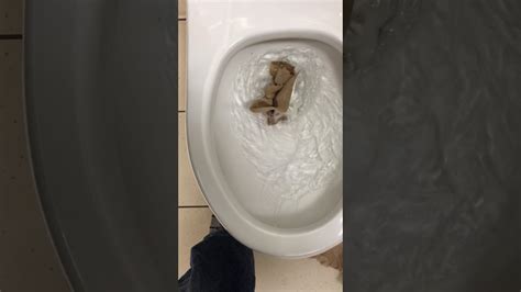 Image result for Modeling Paste Craft Ideas