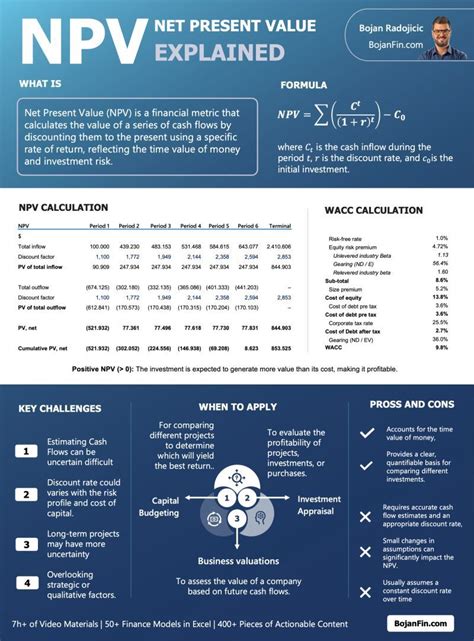 NPV Explained 的图像结果