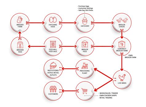 Ku-Koo-Ch-Ku Online Chicken | Services