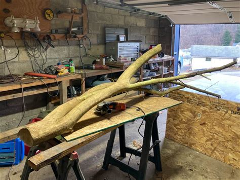 Image result for Terrarium Making111