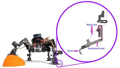 Current Designs of Robotic Arm Grippers: A Comprehensive Systematic Review