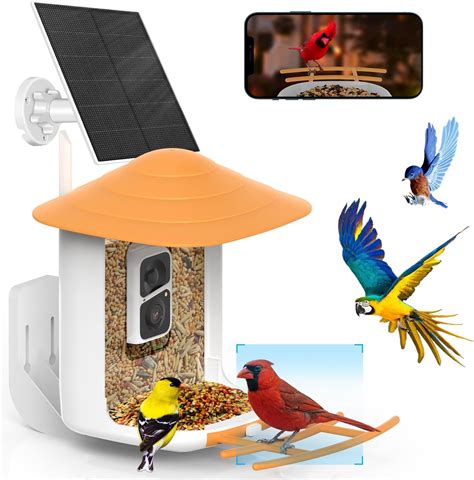 Amazon.com : SOLIOM BF09 Bird Feeder with Camera Wireless Outdoor,Smart ...