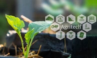 Top AgriTech Companies Shaping India's Agricultural Future