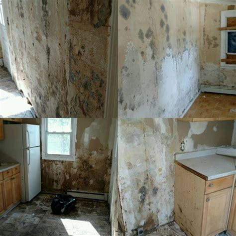 Home Exercise Program for Beginners 的图像结果