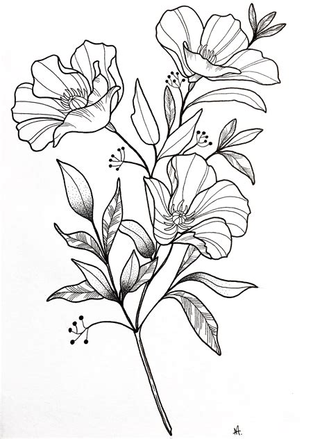 Flowers That Are Easy To Draw at Hector Reese blog
