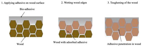 A Novel Technique for Substrate Toughening in Wood Single Lap Joints ...