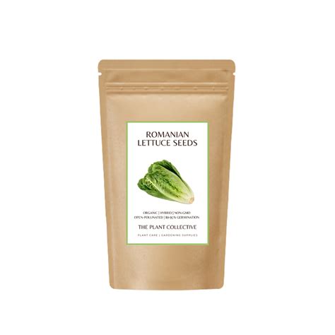 Romanian Lettuce Seeds (Organic, Non-Hybrid, Non-GMO, Open-Pollinated ...