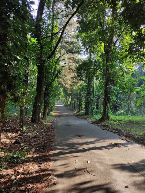 Image result for Cool View