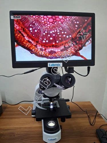 LCD Microscopes - Digital Video Microscope Service Provider from Faridabad