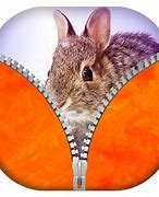 Image result for Cute Bunnies Wallpaper