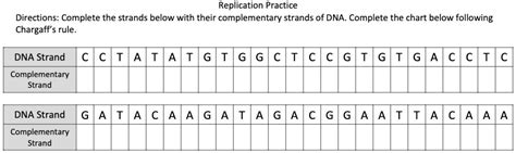 Image result for DNA Replication Complementary Strand