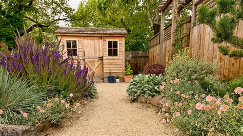 Landscaping Around a Shed | Yardzen